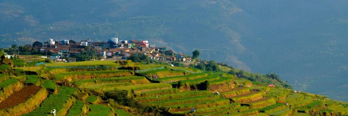 kodaikanal homestay packages 
