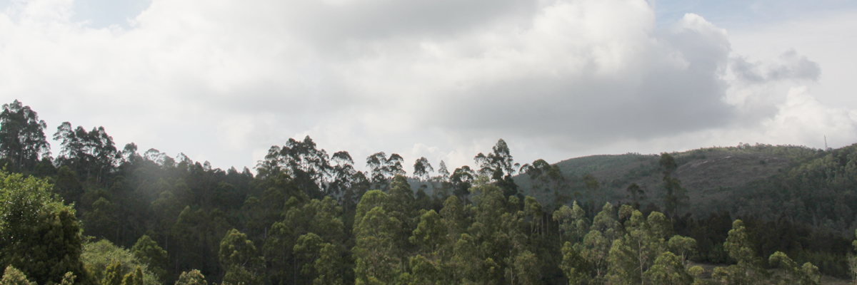cottages in kodaikanal