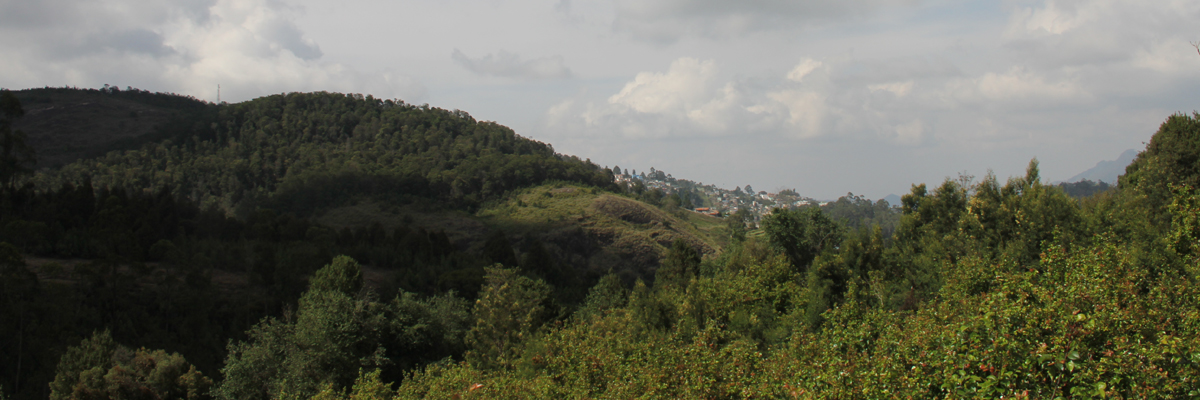 kodaikanal homestay packages 