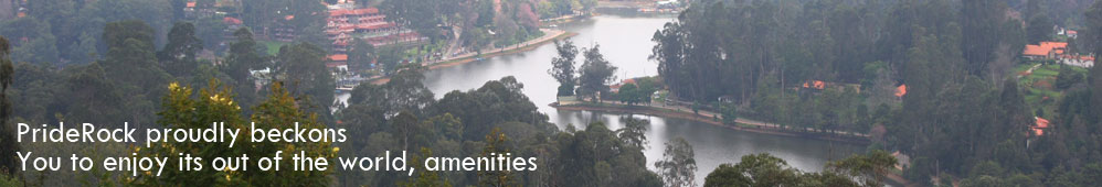 kodaikanal resort packages 
