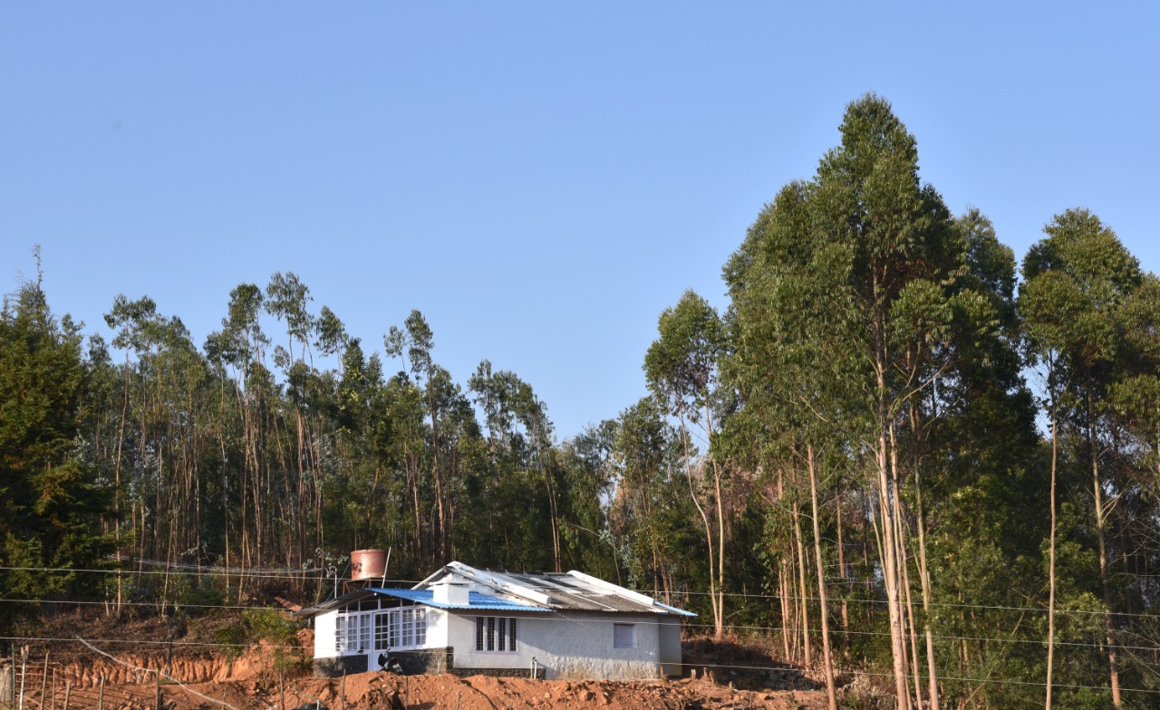 Tour PAckages Kodaikanal