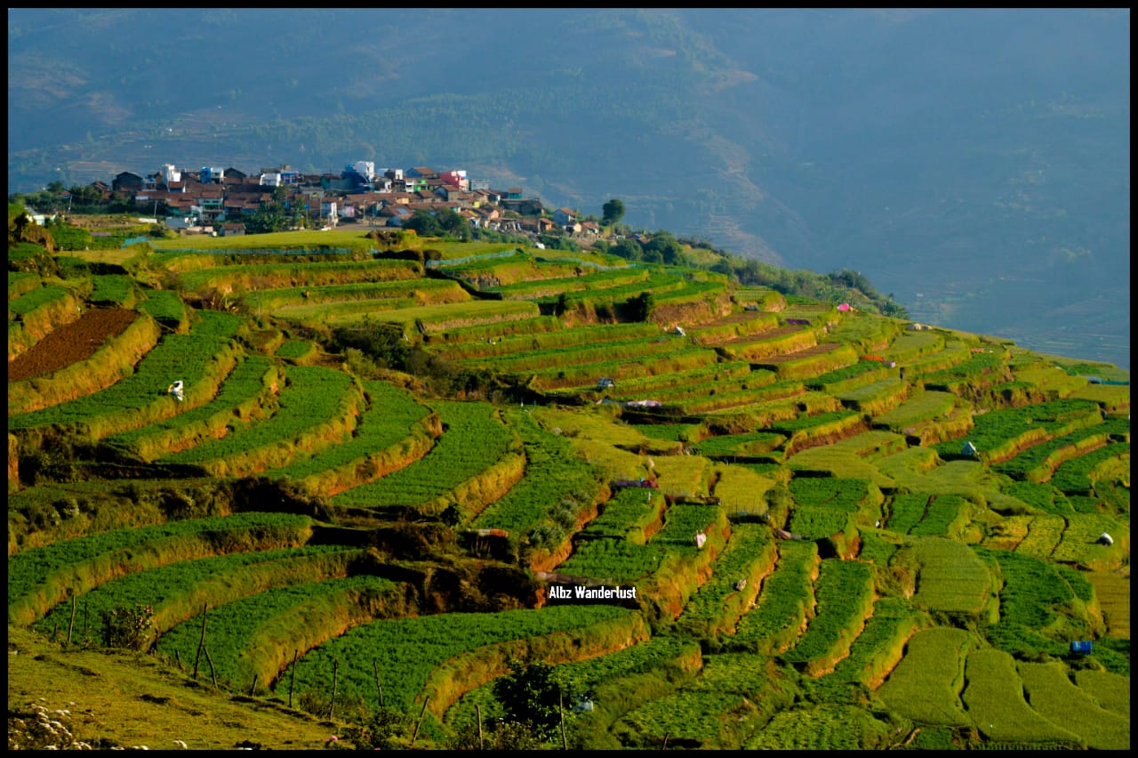 Tour PAckages Kodaikanal