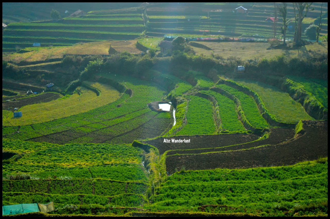 Tour PAckages Kodaikanal