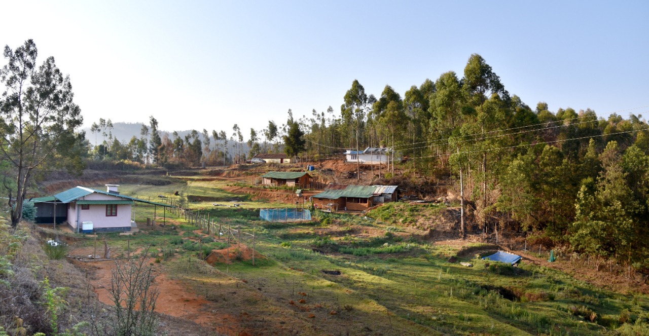 Tour PAckages Kodaikanal