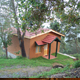 Honeymoon Trip to Kodaikanal